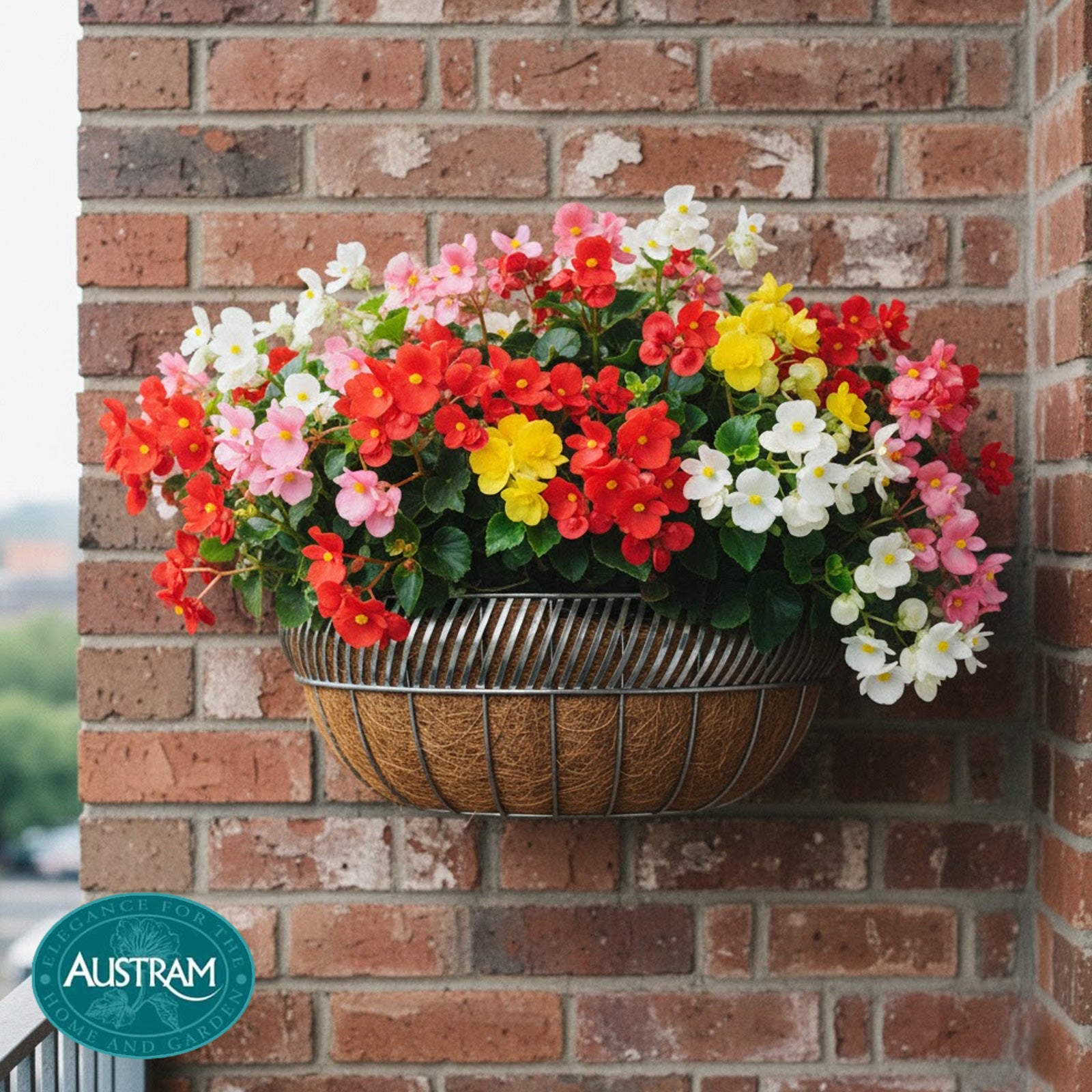 Venetian Trough Planter