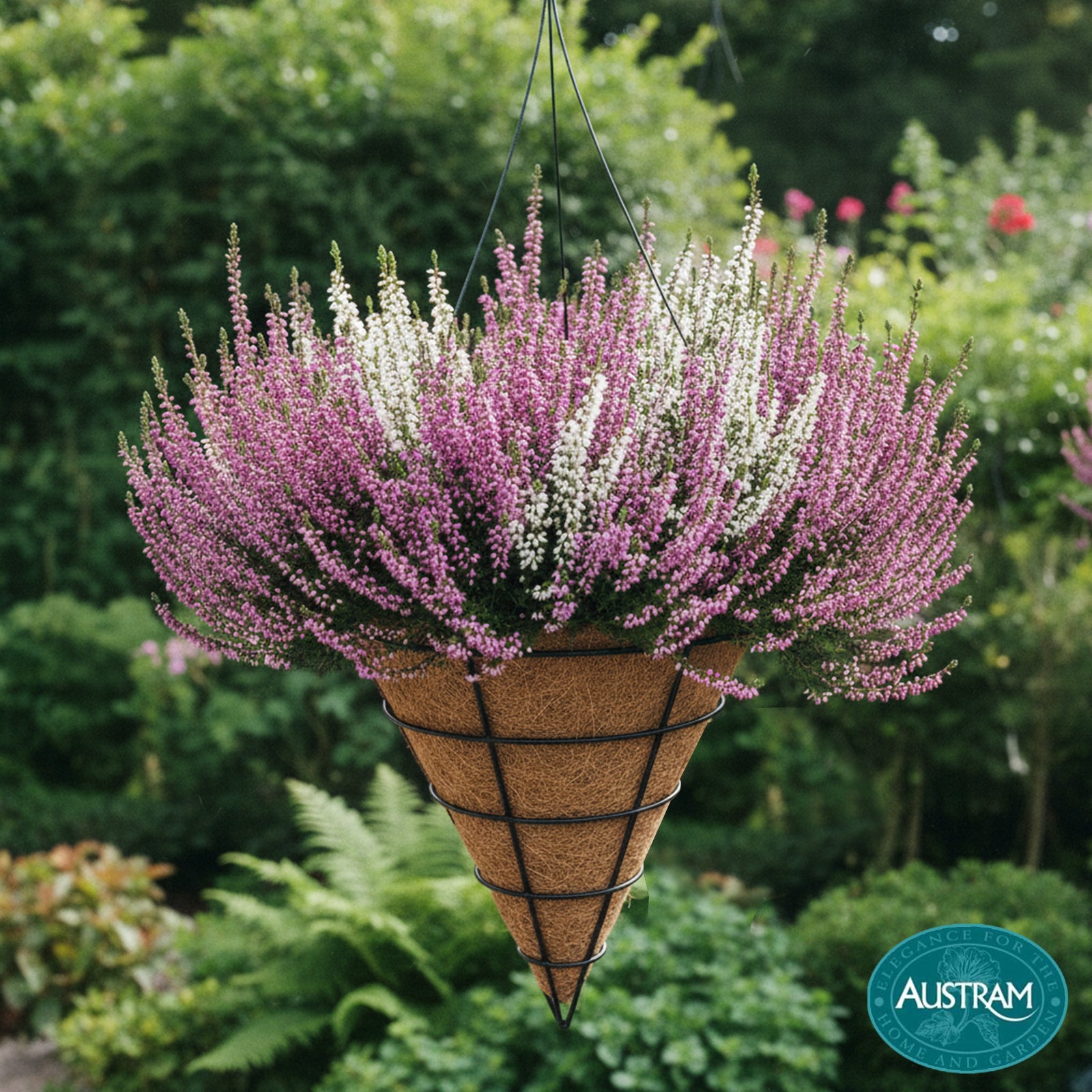Cone Hanging Basket w Wire Hanger