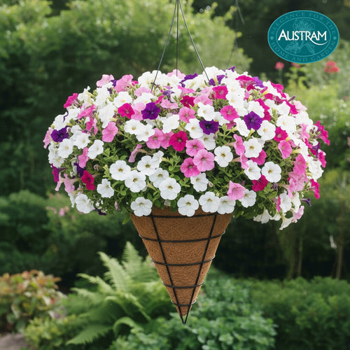 Cone Hanging Basket w Wire Hanger