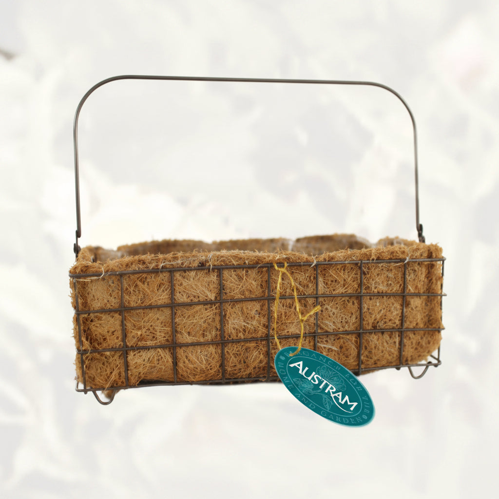 Progro Petite Rectangular Planter - Bronze