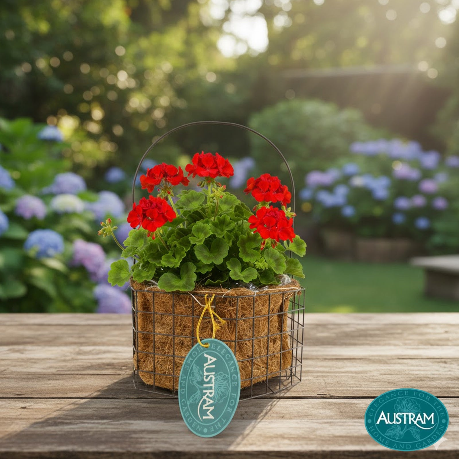 Progro Petite Hexagon Planter-H-Bronze