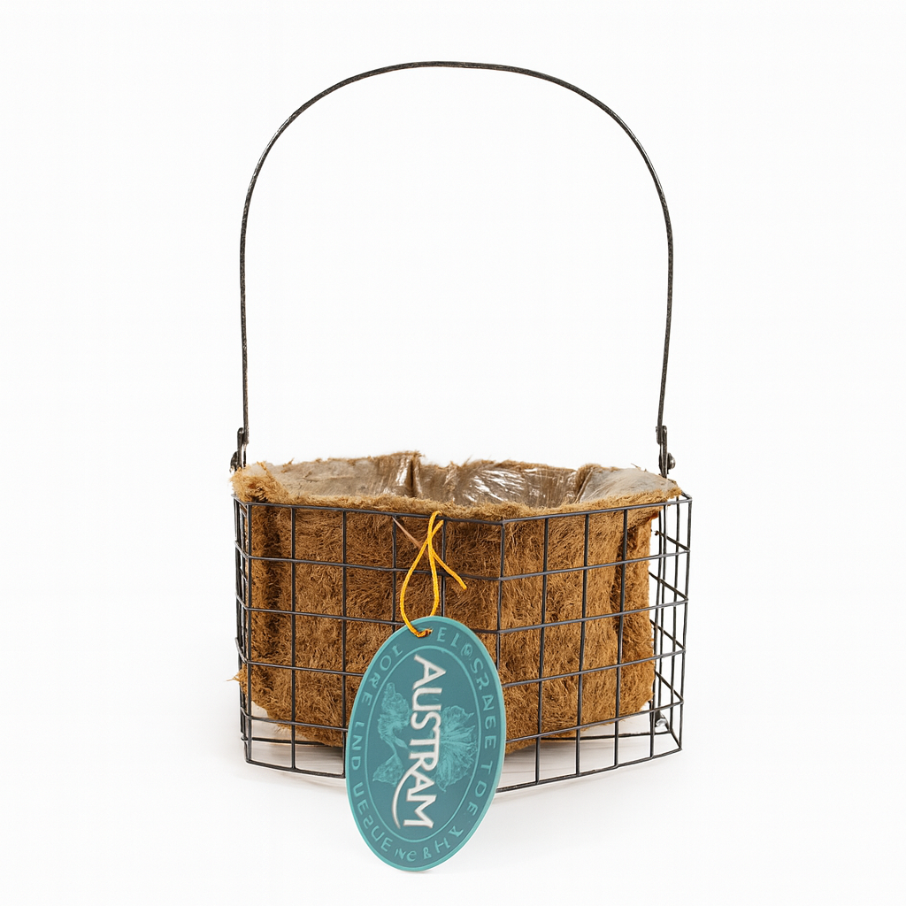 Progro Petite Hexagon Planter-H-Bronze