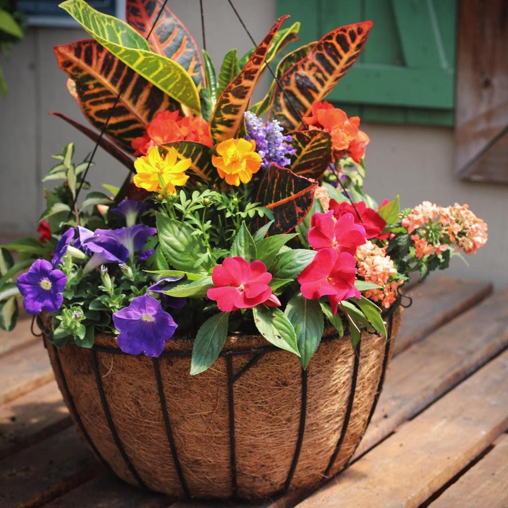 Progro Basic Planter w/ wire Hanger-Black