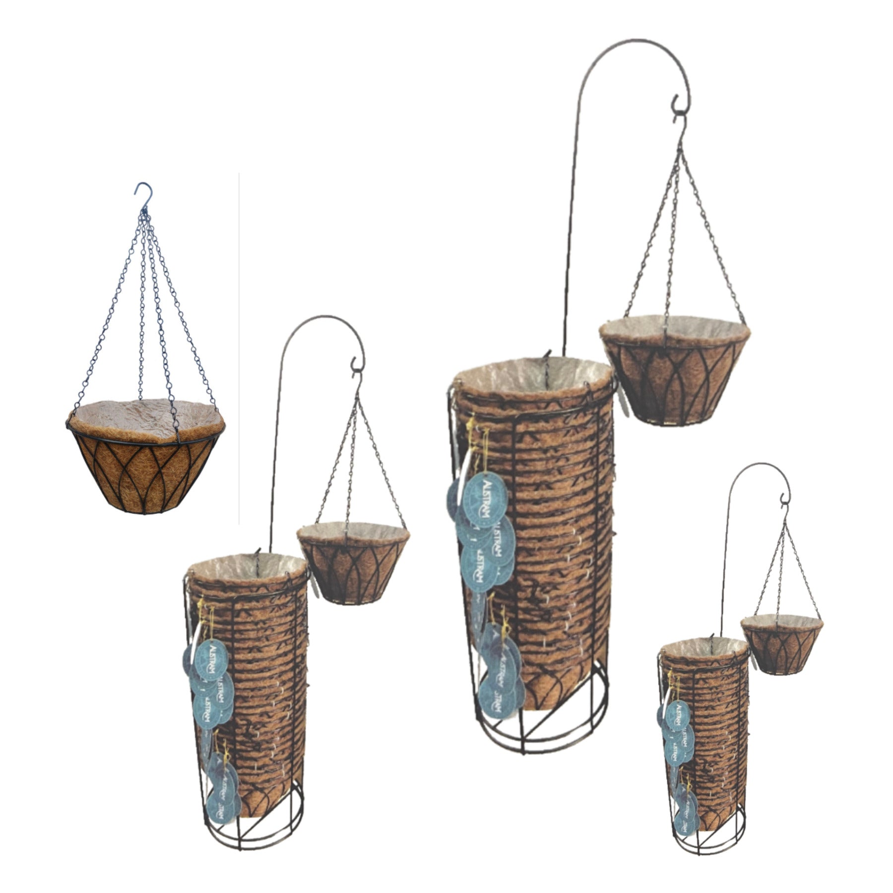 Lotus in Display Sleeve Assortment
