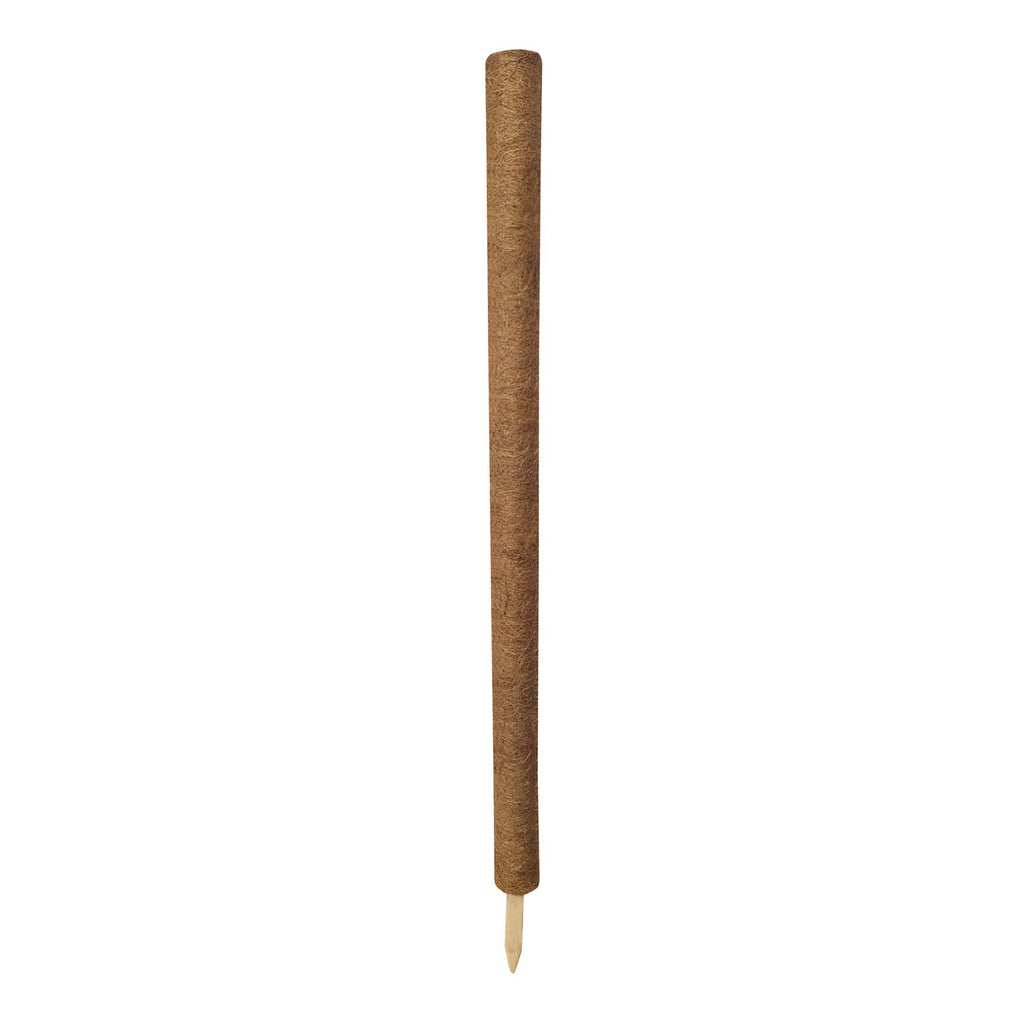 Coco Pole Assortment