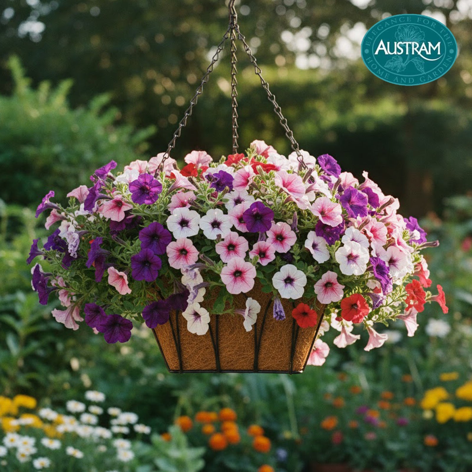 Lotus Square Hanging Basket w/ Chain
