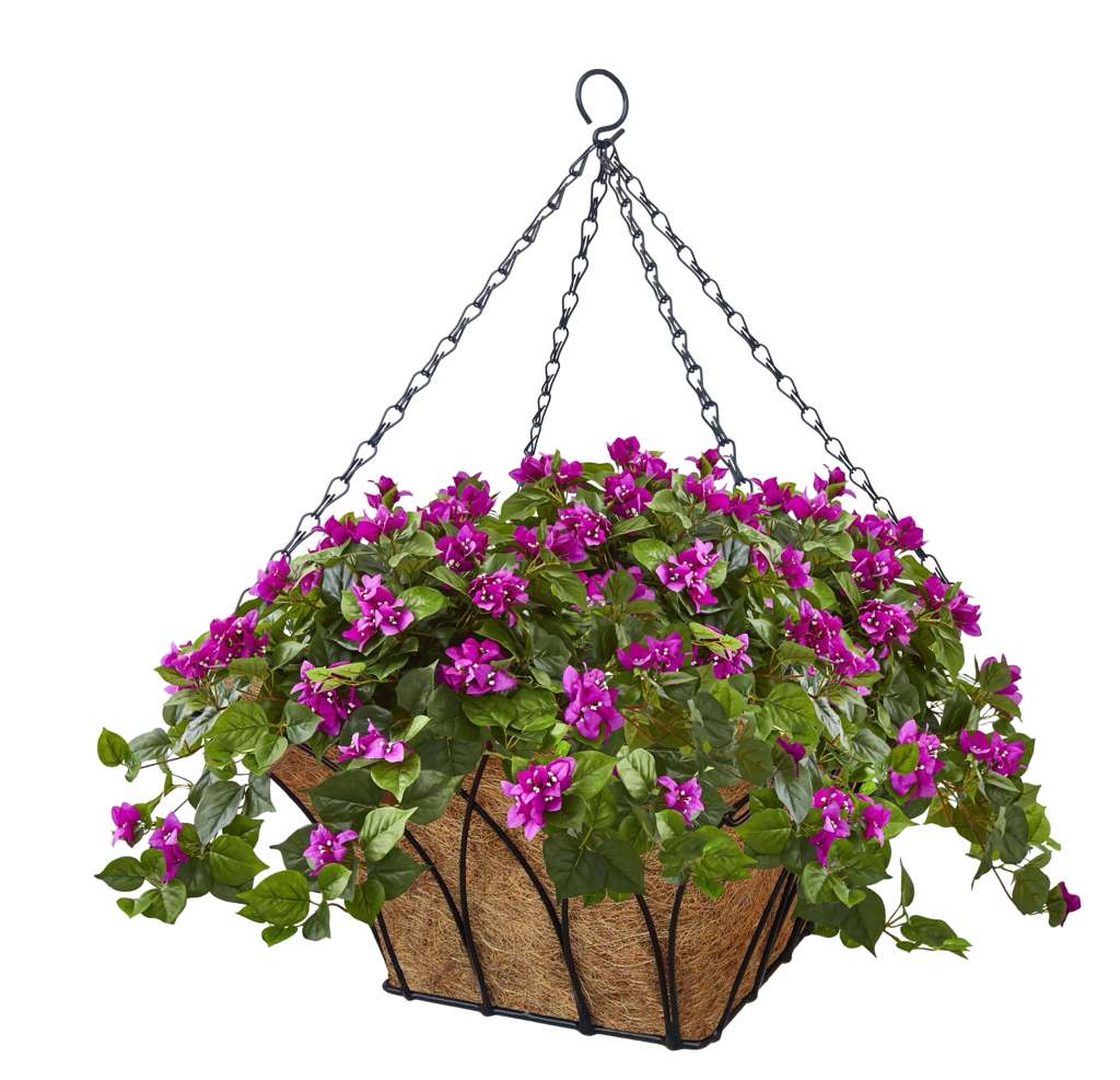 Lotus Square Hanging Basket w/ Chain