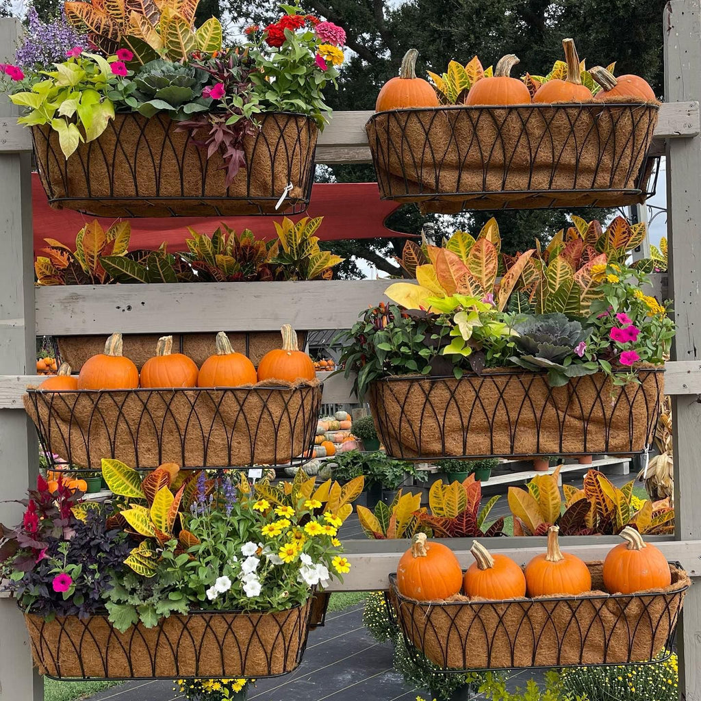 Lotus Trough Planter