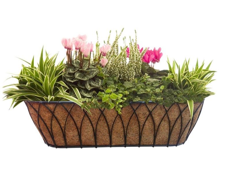 Lotus Trough Planter