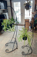 Lotus Plant Hanger
