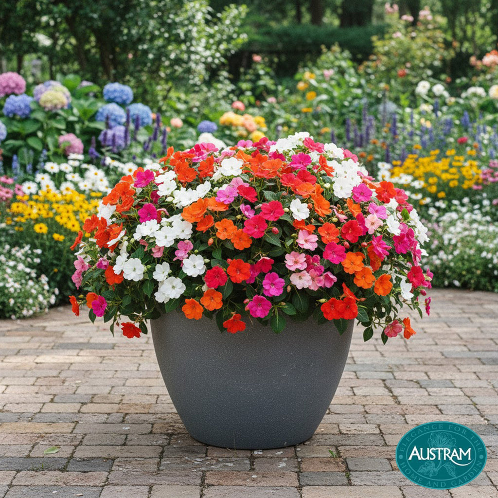 Vizcaya Planter - Anchor Grey
