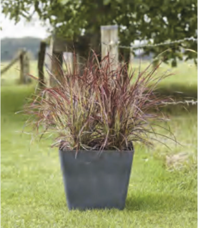 Vizcaya Square Planter (12" x 12" x 18") - Anchor Grey