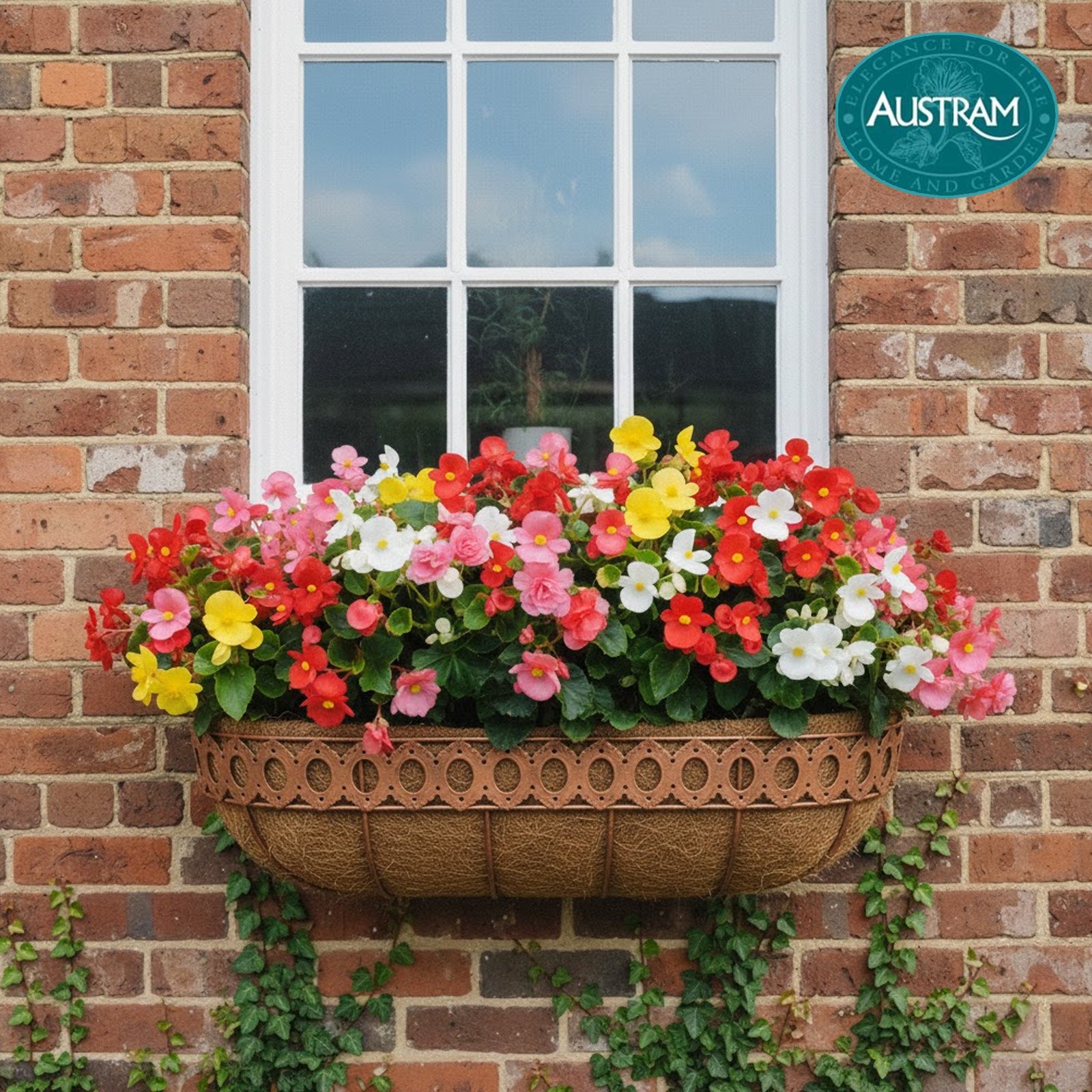 Queen Anne Trough Planter