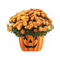 Plastic Pumpkin w/ face