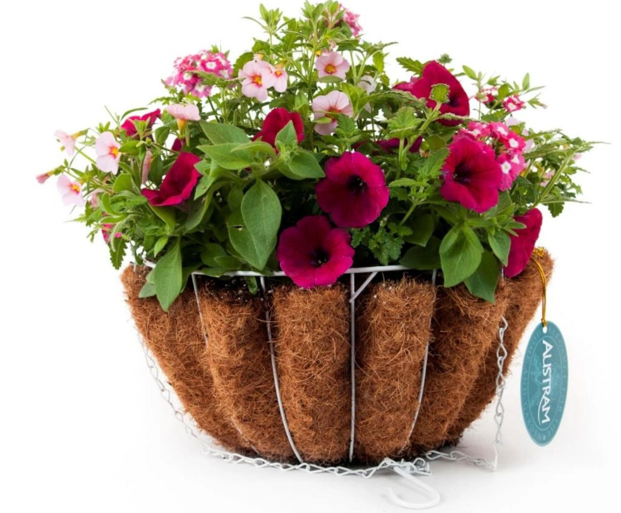 ProGro Planter w/ Chain Black