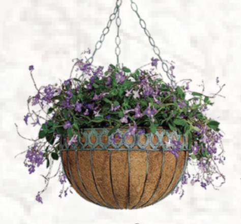 Queen Anne Round Hanging Planter