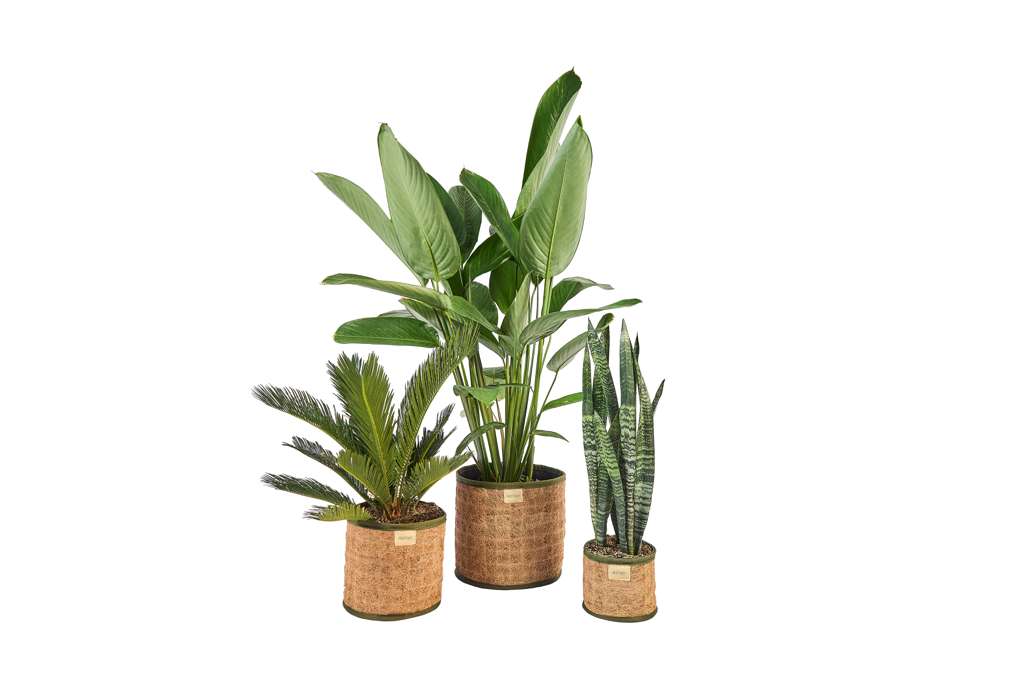 Woven Coco Floor Planter