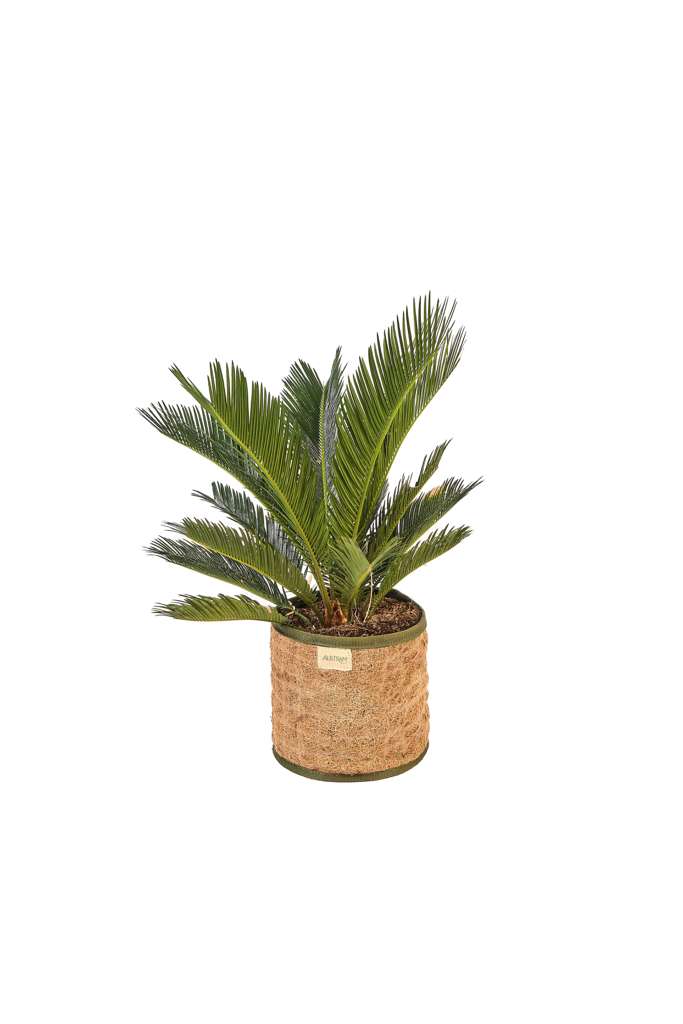 Woven Coco Floor Planter