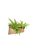 Woven Coco Wall Planter