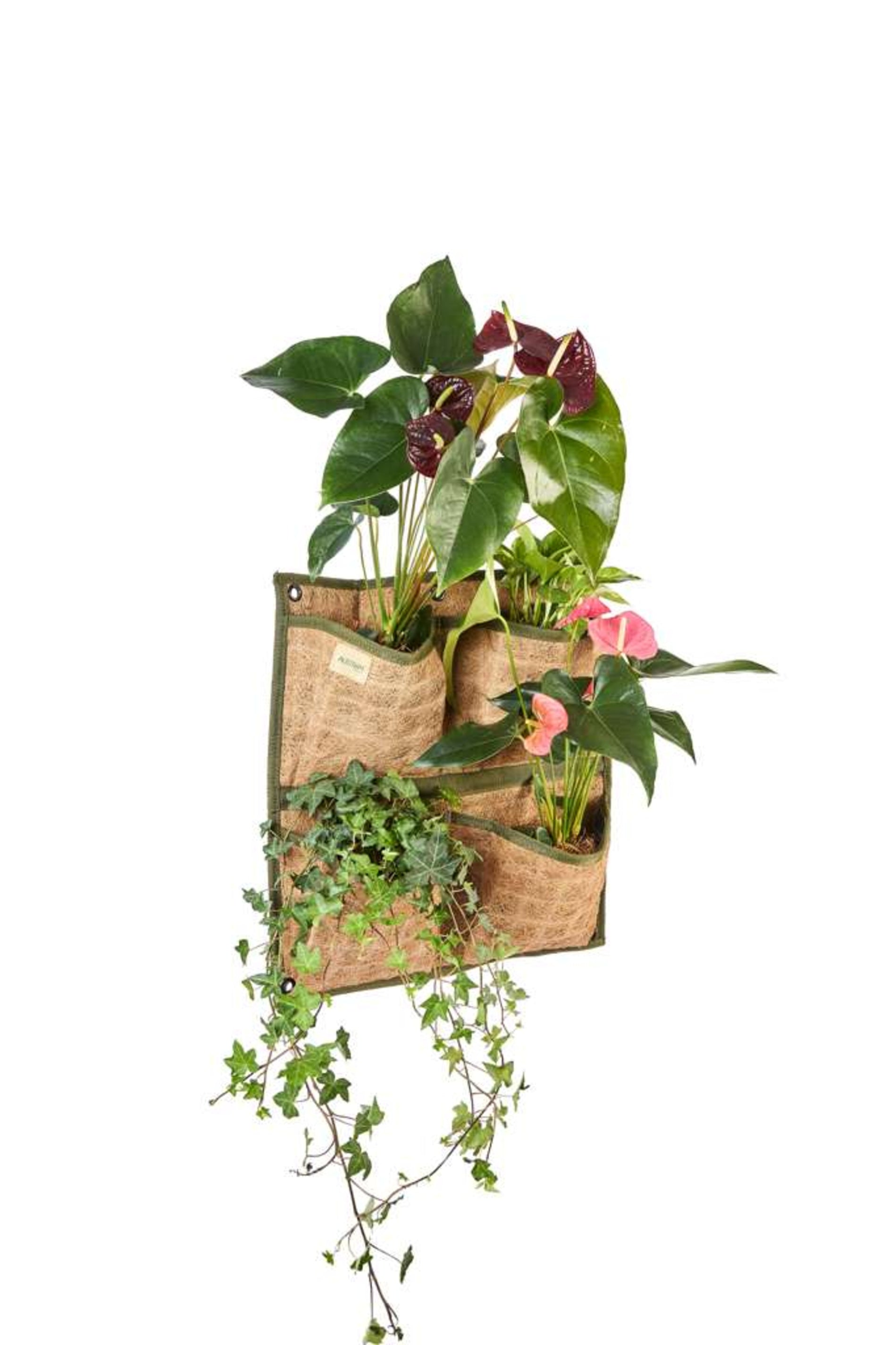 Woven Coco Wall Planter