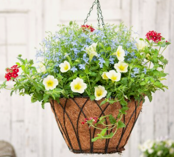 Lotus Planter -Black w/ chain